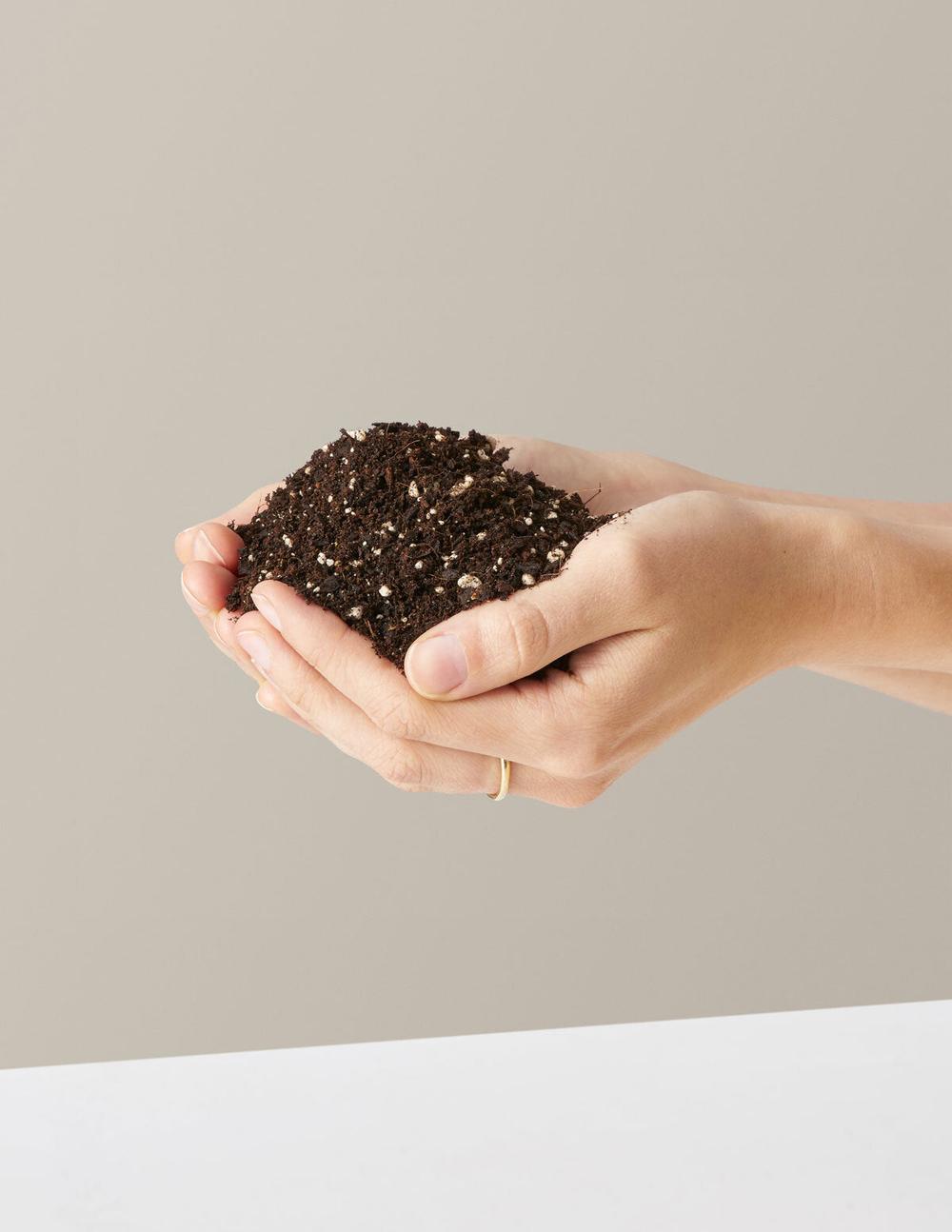 Plant care