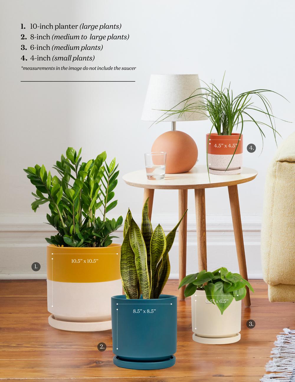 Planters